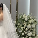 블랑호텔 | 아무르블랑 퀸벨호텔 아이폰 스냅 후기 🤍 :: 안했으면 후회했음, 대만족!