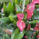 만송농장 이미지