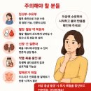 주)찬해영암마트 | 황칠뿌리진액 효능 후기 먹는법 효과 발효 vs 가루 뭐가 좋을까?