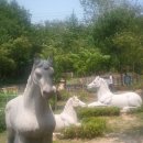 녹천 목장 이미지