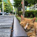 공릉동근린공원 이미지