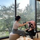 2022-주175 이미지