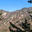 사인암민박 | 단양 도락산(道樂山)관광