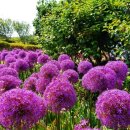 태안반도영농조합법인 이미지