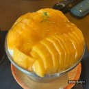사격장입구 버스정류소 | 원주 망고빙수 카페 그리너리 &amp; 원주 빵 맛집 허니포레스트