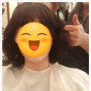 가람마을 | MK헤어 운정 가람마을점 내돈내산 후기
