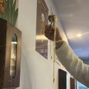 [경남 양산] 양산 범어 범신맛집 ‘구땡식당’ 내돈내산 솔직후기