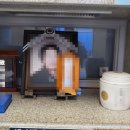 봉암동120 이미지