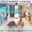도도 게스트하우스 | 카메론 하일렌즈 여행 추천: 로버스 인 게스트하우스 후기 (11세 이상)