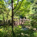 속리산송림펜션 이미지