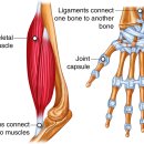 심지한의원 이미지