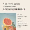 낙은로 이미지