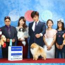 에버노블 이미지