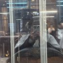 지오헤어샵 - 서천군 | '에프엑스헤어샵 지제센트럴점' 중단발 레이어드펌 후기-거지존 탈출시켜준 헤어맛집 평택 헤어샵...