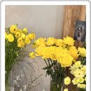 웨이투고(waytogo) | 원천동 꽃집 이고투고 추천해봐요(방문후기)