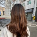 홍(HONG)헤어 이미지