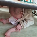 크록스김천