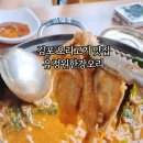 유정원한강오리