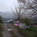 잔디 농장 이미지