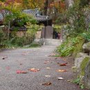 소소한향기 이미지