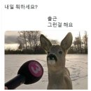 12월의 시작
