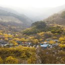 현천마을 이미지