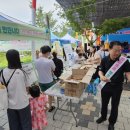 아이조아 이미지