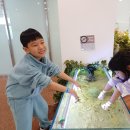 인싸피시 이미지