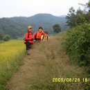 속리산(청주) 이미지