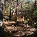 바위농장 이미지