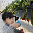 하준농장 이미지