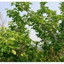 가연농장 이미지