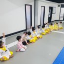 움찬태권도 이미지