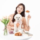 펫온