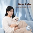 디어마이펫수원