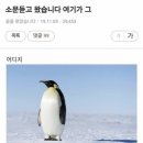 방도로R | [방린이의 방탈출일지 24] 에스케이프 'R.E.D.(레드)'