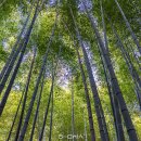 청소년푸른쉼터 화장실 | 부산 가볼만한 곳 기장 아홉산숲 입장료 시간 주차 정보