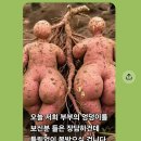 사람의 혈통 영의 혈통!♥♥ 이미지