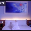 폭시호텔 네이버블로그