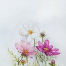 샛별미술교습소