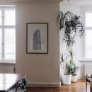 앤빈티지 이미지