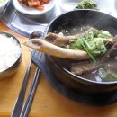 부평공원3 Daum카페