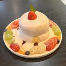 증도 작은도서관 | 투병일기1 30살 인생 첫 건강검진과 첫 외래진료ㅣ수신증 및 혹 신장 제거수술