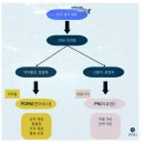 리쥬란 오해와 진실 그것이 알고 싶다 1탄