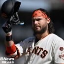 크로포드 이미지