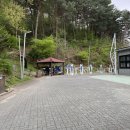 해오름 유아숲체험원 이미지