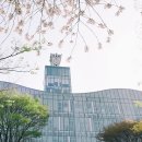 중앙대학교 사회복지대학원 이미지