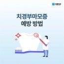 마모이룸 이미지