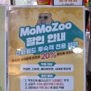 비양길100 | 제주 모모쥬 동물원 제주 아기랑 가볼만한곳 추천