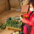 무안상회 이미지